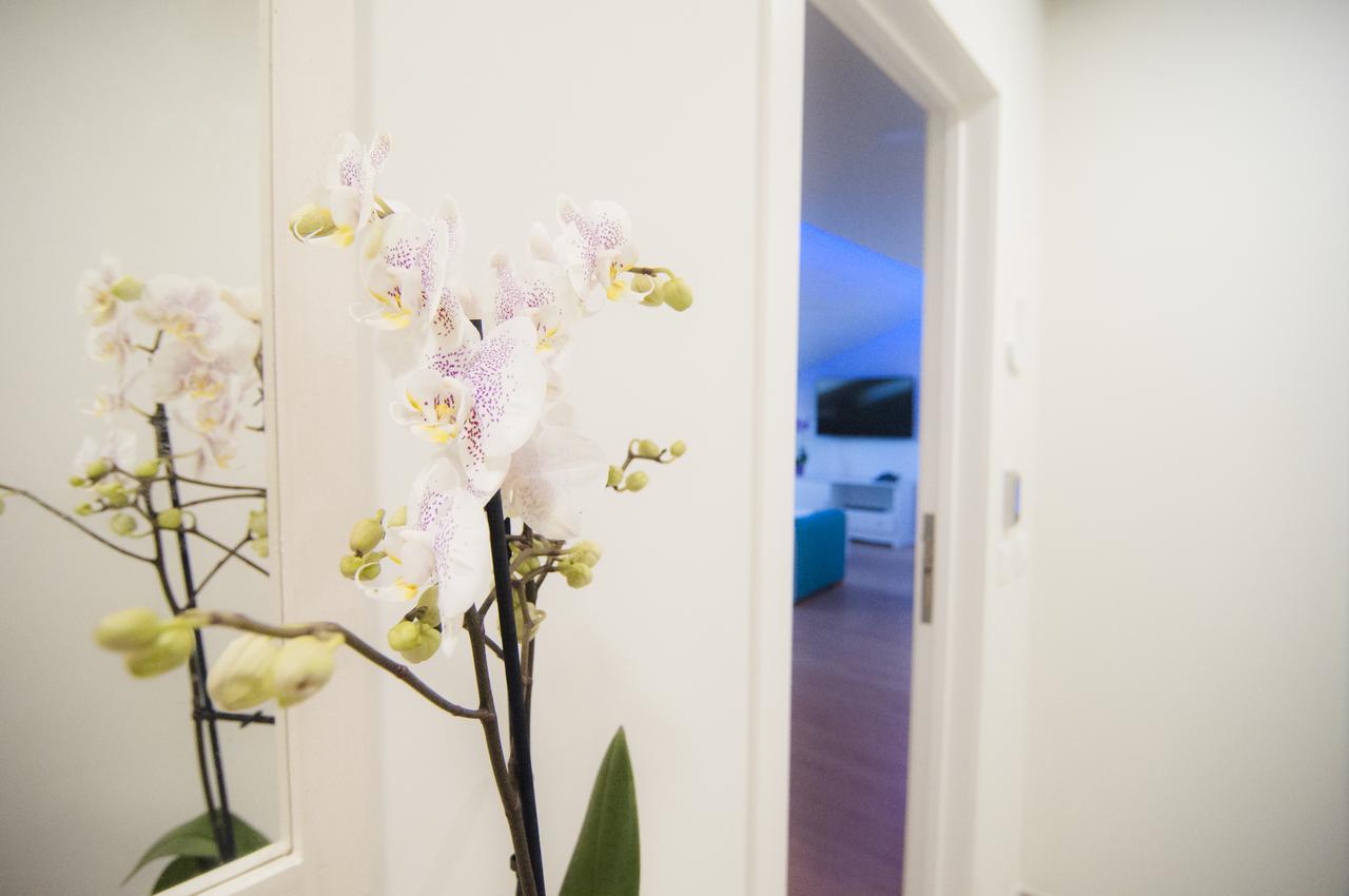 Los Rodeos Luxury Vivienda Vacacional La Laguna  Eksteriør billede